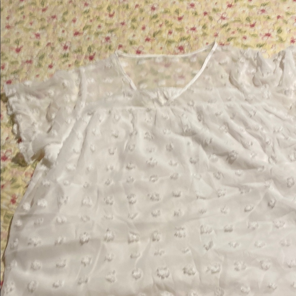 Sheer with lining white shirt sleeve blouse